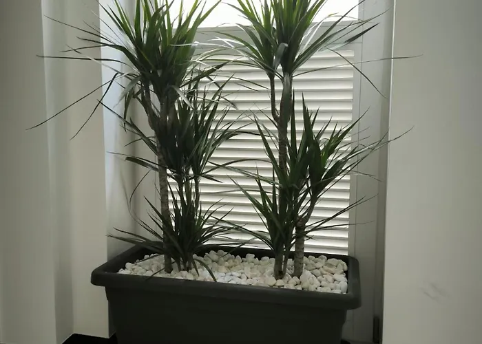 Fado In - Velho * Porto